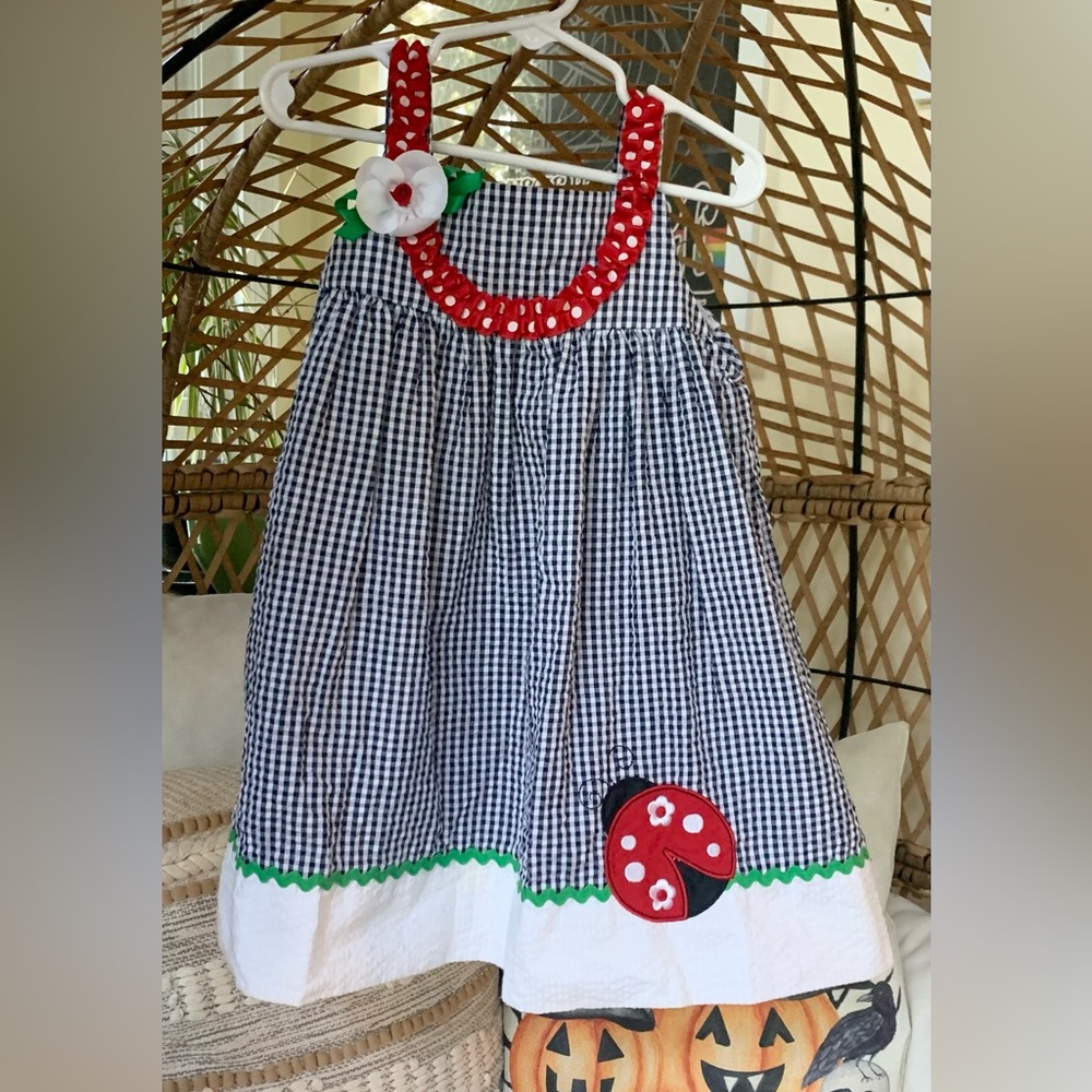 Rant, Too! Lady Bug Dress
